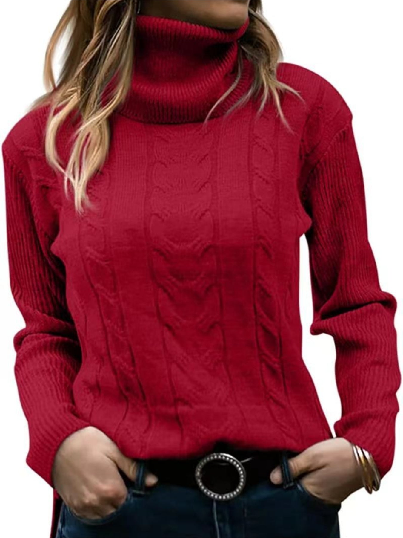 Turtleneck Casual Regular Fit Sweater
