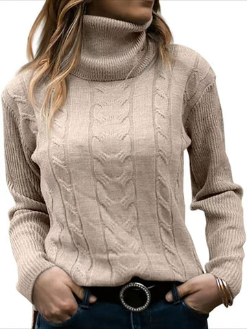 Turtleneck Casual Regular Fit Sweater