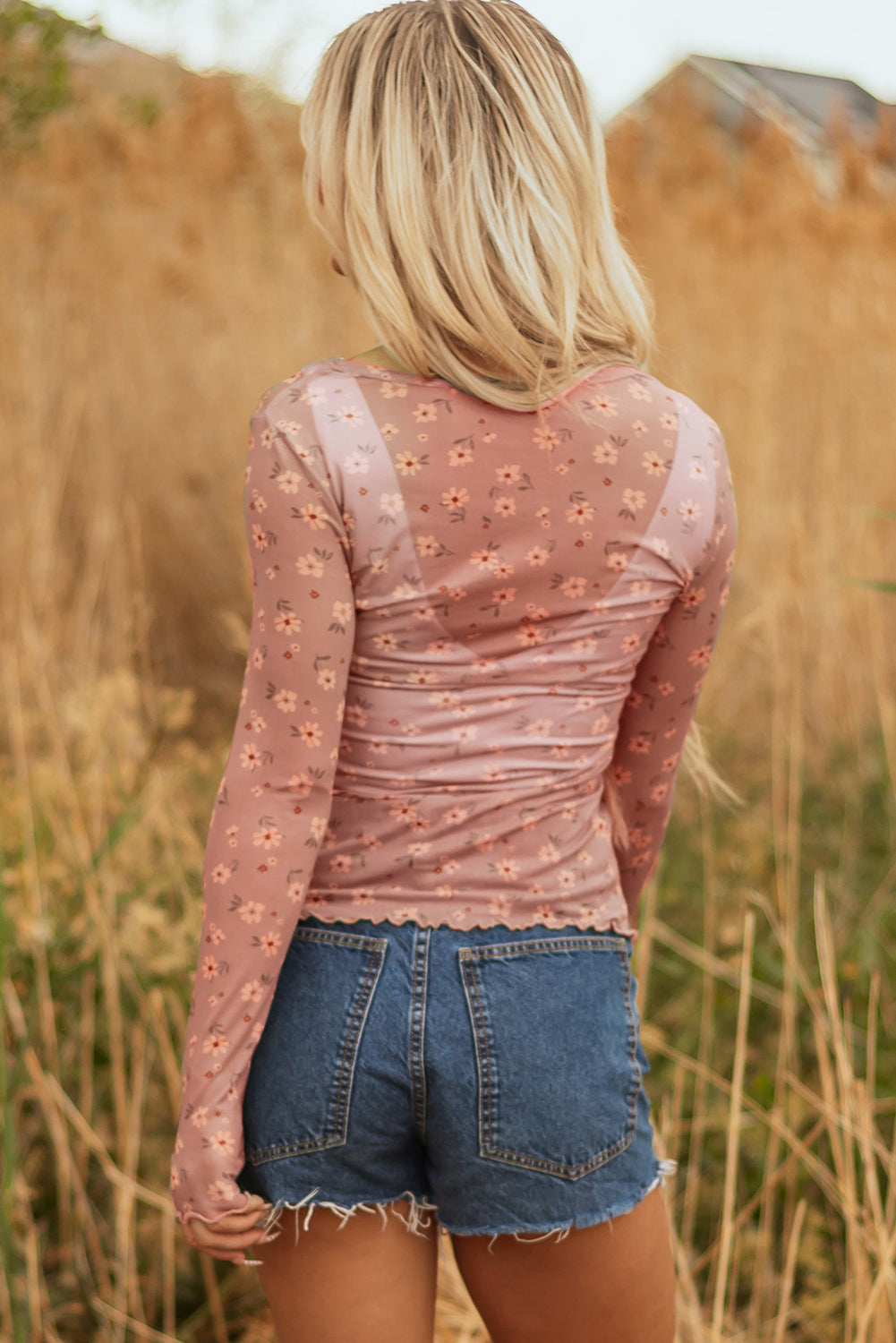 Pink Vintage Floral Print Southern Style Mesh Long Sleeve Top