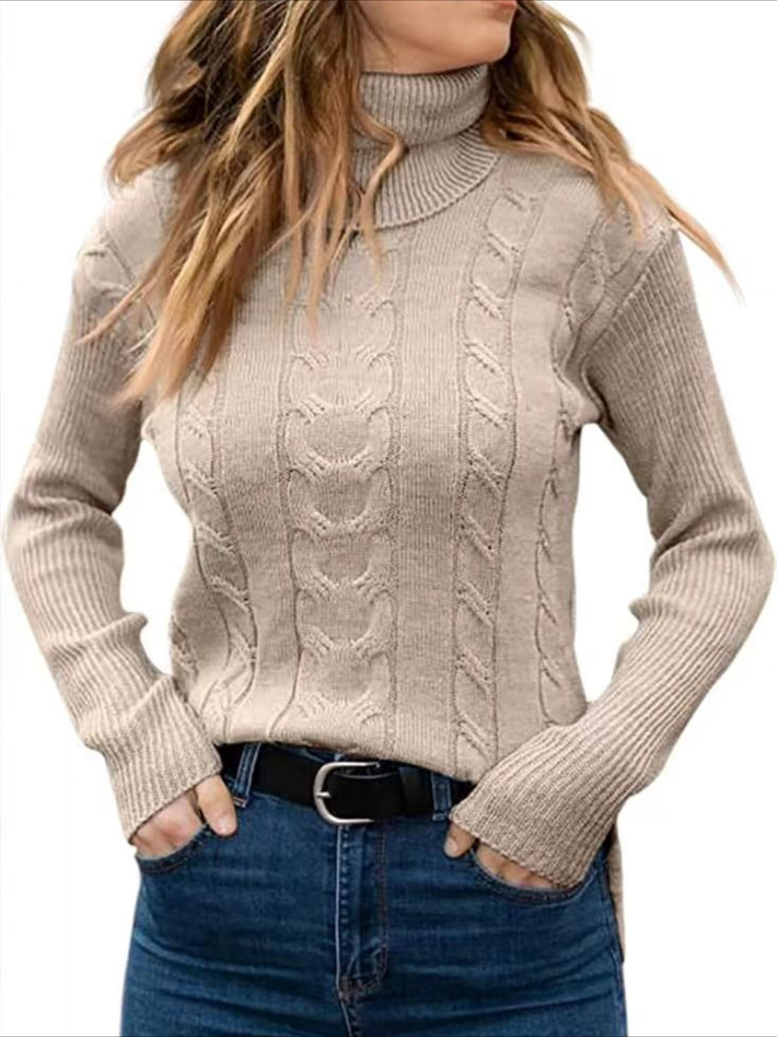Turtleneck Casual Regular Fit Sweater